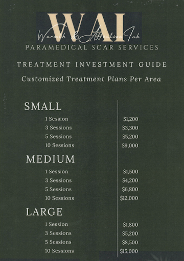 Investment guide for paramedical scar services with pricing for small, medium, and large treatment plans.